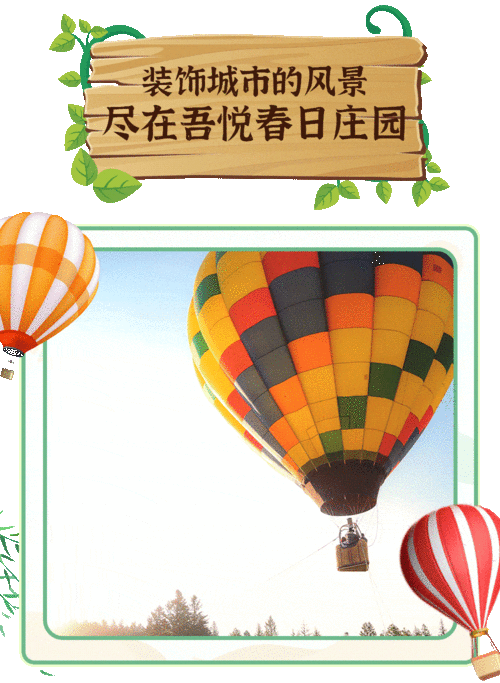 最新热气球大事件爆料,揭秘最新热气球事故背后的惊心动魄瞬间 第3张 最新热气球大事件爆料,揭秘最新热气球事故背后的惊心动魄瞬间 第3张