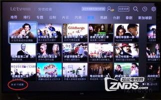 波达克第一季在线观看,探寻神秘古墓的奇幻之旅 第3张 波达克第一季在线观看,探寻神秘古墓的奇幻之旅 第3张