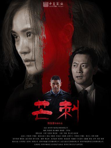 电影刺在线观看,揭秘网络暗战，揭秘虚拟世界的生死较量  第3张