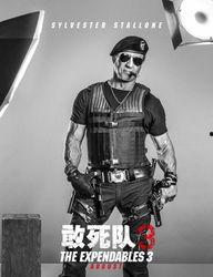 敢死队3国语版在线观看,热血激战，巅峰对决！在线观看，燃情再现！  第2张