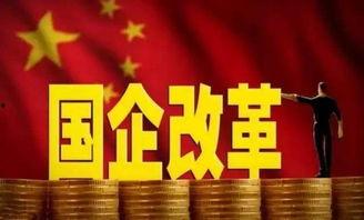 中国官网最新爆料,揭秘重大科技突破与未来发展趋势  第2张