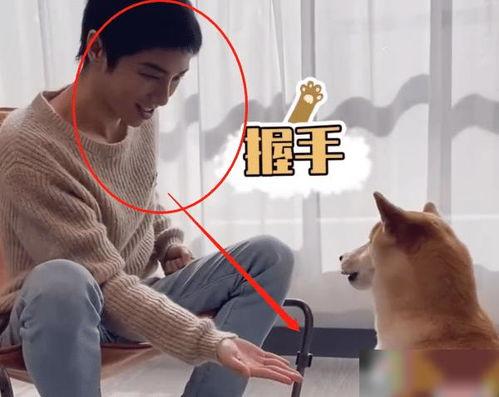 狗子今日爆料视频,娱乐圈幕后真相大曝光！  第2张