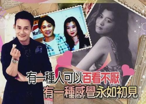 型男老婆爆料视频大全集,揭秘型男老婆们的甜蜜生活