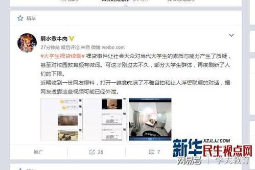 雷州疯人爆料头条视频,揭秘当地奇闻异事，视频内容引发热议