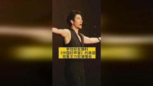 李文爆料好声音视频完整版,好声音幕后真相，完整版视频曝光  第3张