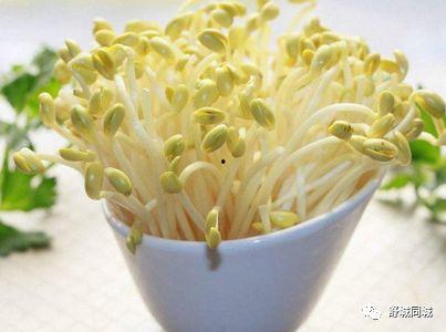 豆芽爆料视频大全最新,揭秘娱乐圈幕后真相  第2张