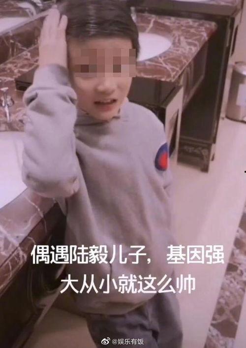 两个小男孩爆料爸爸视频,两位小男孩曝光爸爸神秘视频背后的故事  第3张