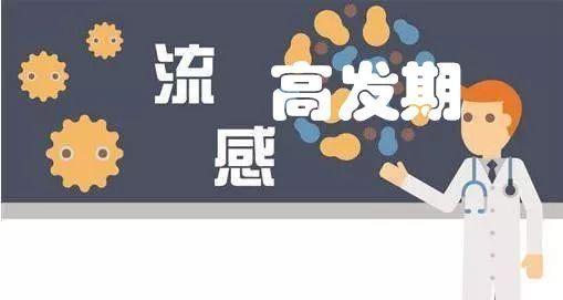 流感在线观看,揭秘病毒肆虐下的全球抗疫纪实  第3张
