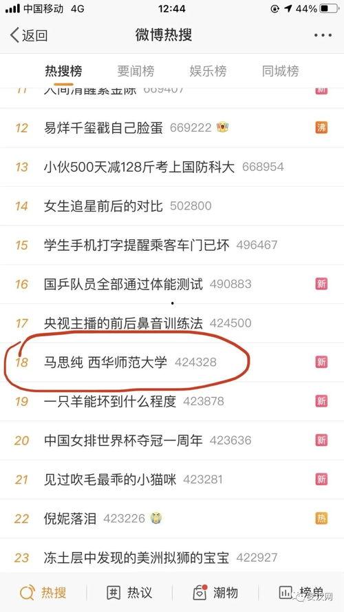 南充市新闻爆料网最新消息,最新动态速览，热点事件聚焦  第2张