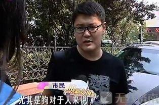 济南男子爆料视频最新,揭露惊人真相！  第2张