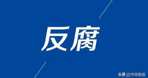 金明最新爆料,揭秘娱乐圈惊人内幕