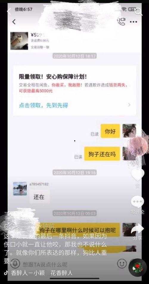 大狗最新爆料视频大全集,揭秘热点事件背后的真相  第2张