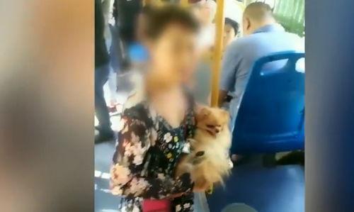 大狗最新爆料视频大全集,揭秘热点事件背后的真相  第3张