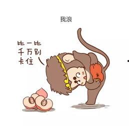 爆料小猴子的视频,萌态百出，笑料连连  第3张