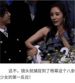 明星八卦娱乐吃瓜视频播放,揭秘热门娱乐吃瓜视频播放背后的秘密  第3张