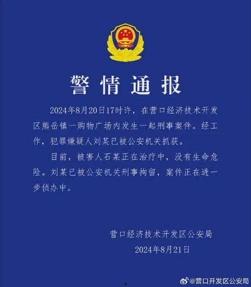 辽宁热点爆料事件最新消息,最新事件追踪，真相渐明  第2张