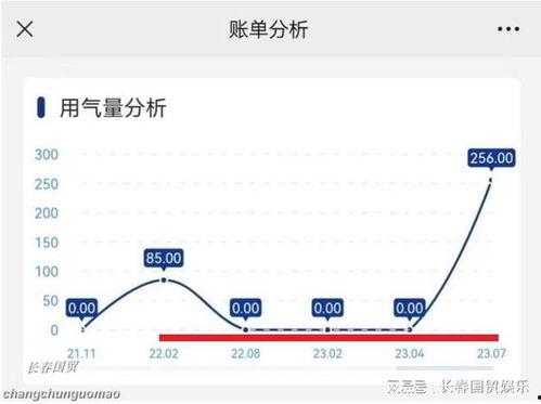 长春客服最新爆料,揭秘城市生活那些不为人知的秘密  第3张