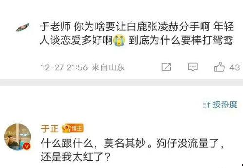 爆料张凌赫白鹿事件视频,真相揭秘，情感纠葛引热议  第2张