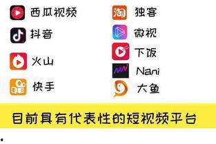 怎么做视频爆料赚钱软件,轻松实现财富增长的秘密武器