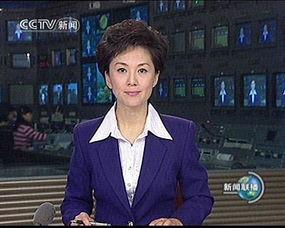 新闻联播女主持爆料台词,真实与想象的碰撞