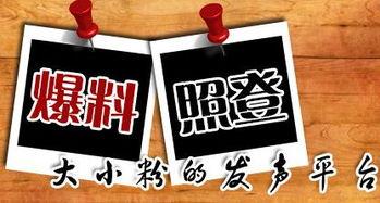 博罗新闻爆料平台有哪些,热门爆料平台一览