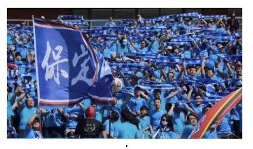 保定最新爆料事件新闻,事件真相逐步浮出水面  第3张