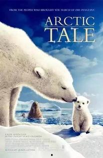 arctic tale在线观看,跟随Arctic Tale踏上北极之旅