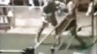 搞笑体育视频大全爆料,笑料百出！搞笑体育视频大全爆笑集锦