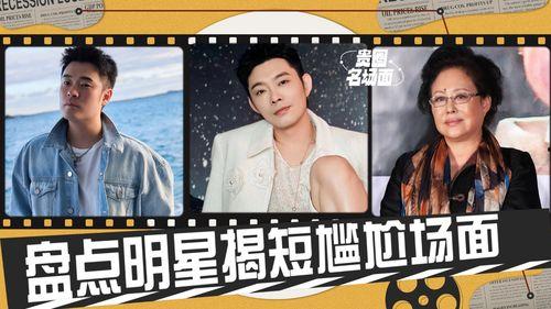 沈阳老舅爆料视频,一场意想不到的幕后风云  第3张