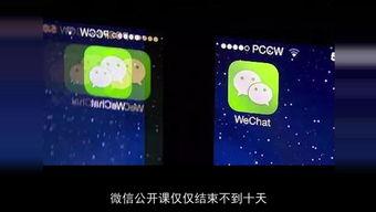 小程序疯狂爆料怎么做视频,轻松制作个性化视频教程