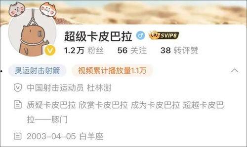 卡哥最新爆料视频下载安装,揭秘视频背后的下载安装奥秘