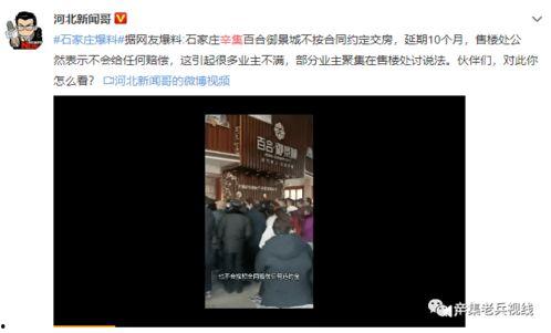 网友爆料蓝莓视频,网友爆料揭示神秘内容，引发热议  第2张