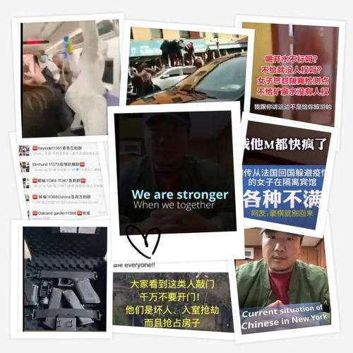 法国病毒爆料视频播放,真相与争议并存