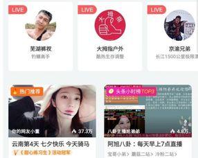 怎么做爆料主播呢视频,从零到一的蜕变之路  第2张