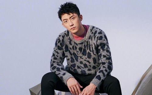 黄景瑜娱乐大爆料,娱乐圈背后的真实故事  第2张