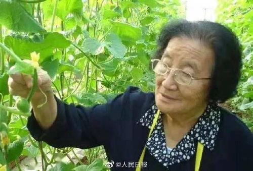 娱乐吃瓜君王鸥是谁,娱乐吃瓜界的风云人物  第3张