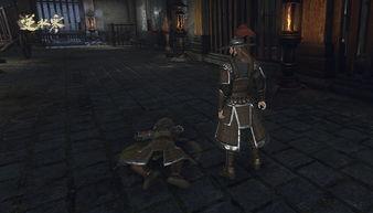 逆水寒博主爆料视频大全,揭秘游戏幕后故事与精彩瞬间  第3张