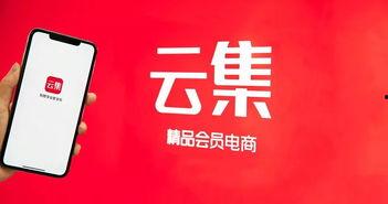 胜仔电商爆料视频大全最新,揭秘电商行业最新动态与热点  第3张