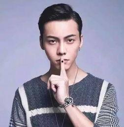 明星八卦爆料陈伟霆视频,明星生活背后的真相揭秘  第2张