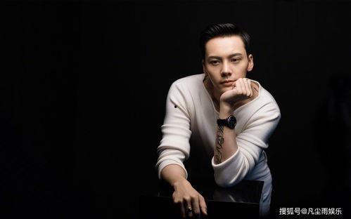 明星八卦爆料陈伟霆视频,明星生活背后的真相揭秘  第3张