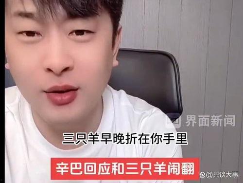 辛巴爆料刘根兴视频播放,真相与争议  第3张