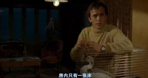 《偷窥无罪》在线观看,揭秘网络偷窥现象背后的伦理与法律边界