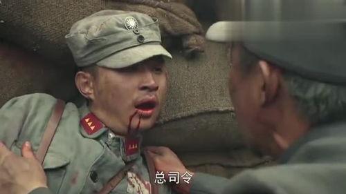 铁血将军在线观看,烽火岁月里的英雄传奇  第3张