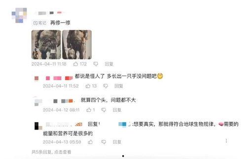 热门爆料打假视频大全,打假视频大全深度解析