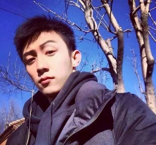 圈内爆料张婧仪黄景瑜是真的吗,圈内爆料真实性揭秘