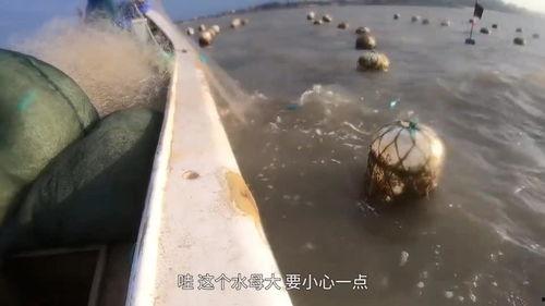 阿雄出海爆料视频,独家视频带你探秘海洋奇遇 第2张 阿雄出海爆料视频,独家视频带你探秘海洋奇遇 第2张