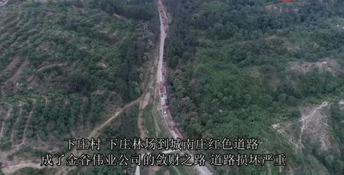 灵寿爆料最新,揭秘最新热点事件背后的真相  第3张