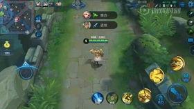 王者荣耀爆料老白视频  第2张